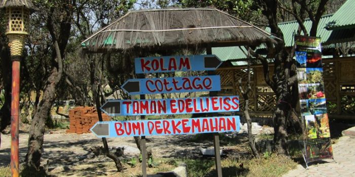 Taman Edelweis Papandayan